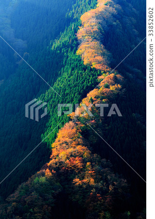 Autumn Namego Valley 33852602