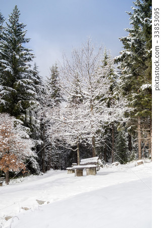 Winter landscape in Bavaria 33853095