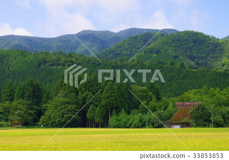 原始景觀 原始景觀 33853853
