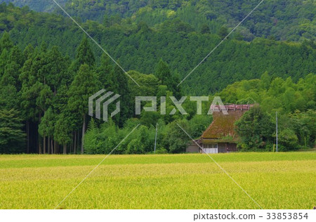 原始景觀 原始景觀 33853854
