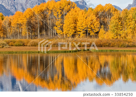 Teton Fall Reflection Teton Fall Reflection 33854250