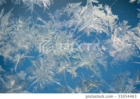 Texture rozen window 33854463