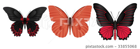 Set of colorful realistic butterflies Set of colorful realistic butterflies 33855068