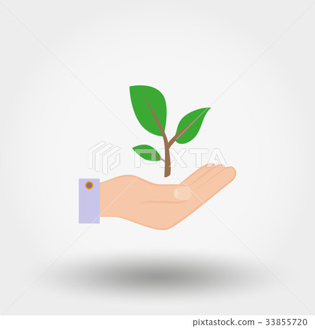 Green twig in a hand. Sign of environmental 33855720
