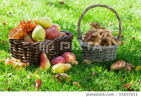 Autumn food 33855831