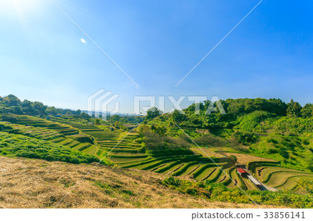 Rice terrace in Chihaya-okasaki village 33856141