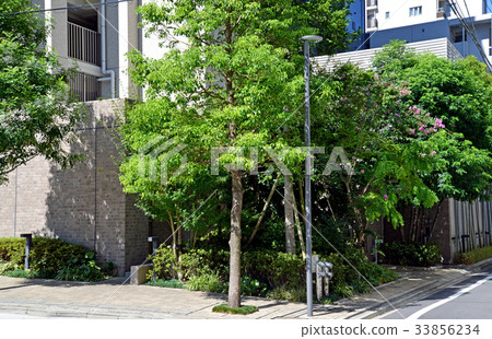 種植公寓 種植公寓 33856234