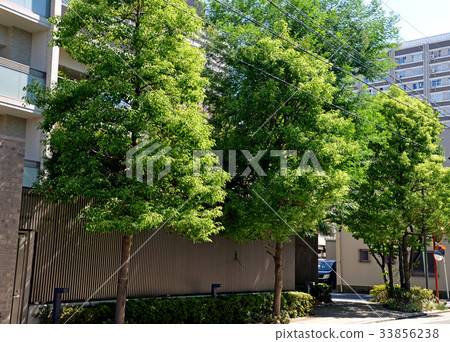 種植公寓 種植公寓 33856238