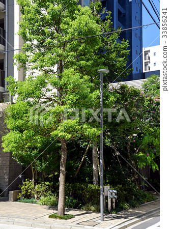 種植公寓 33856241