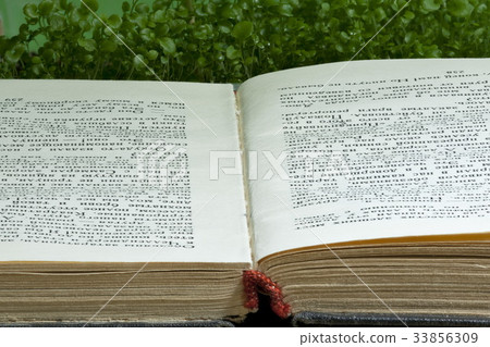 spine open book, spine open book, 33856309