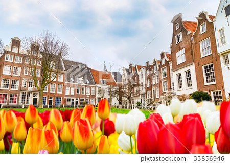 Begijnhof historic houses in Amsterdam Begijnhof historic houses in Amsterdam 33856946