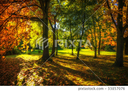 Beautiful colorful autumn. 33857076