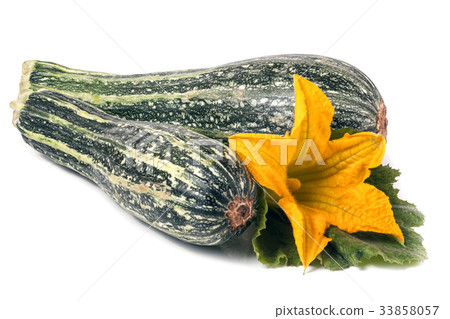 two zucchini with leaf and flower isolated on 33858057