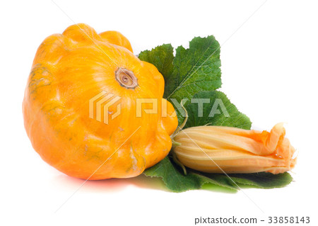 yellow pattypan squash with leaf and flower yellow pattypan squash with leaf and flower 33858143