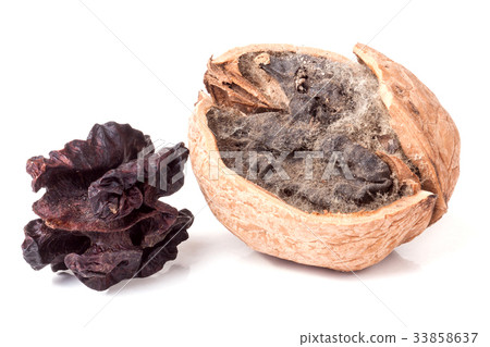 two spoiled walnuts with mold isolated on white two spoiled walnuts with mold isolated on white 33858637