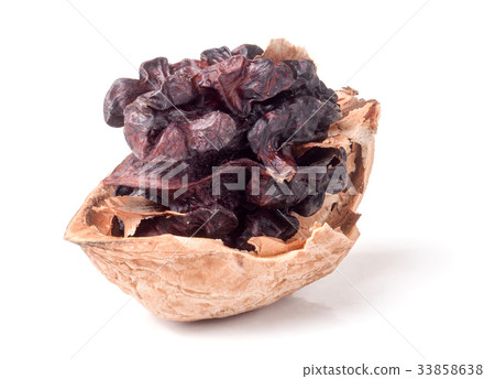 spoiled walnut isolated on a white background 33858638