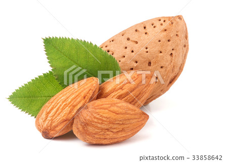 almonds in their skins and peeled with leaf almonds in their skins and peeled with leaf 33858642