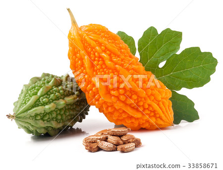 green and yellow bitter melon or momordica with green and yellow bitter melon or momordica with 33858671