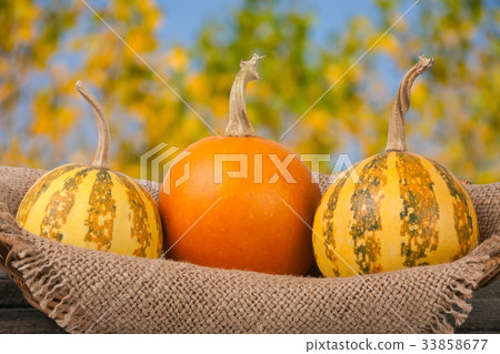 Orange and striped decorative pumpkins on a wooden 33858677