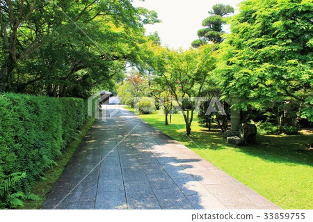 Hiji Town Machi Sanso (Oita Prefecture) Hiji Town Machi Sanso (Oita Prefecture) 33859755
