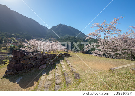 Akagi Castle Ruins of Spring Akagi Castle Ruins of Spring 33859757