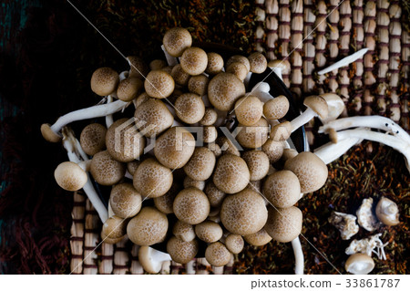 fresh buna shimeji mushrooms on wooden table 33861787