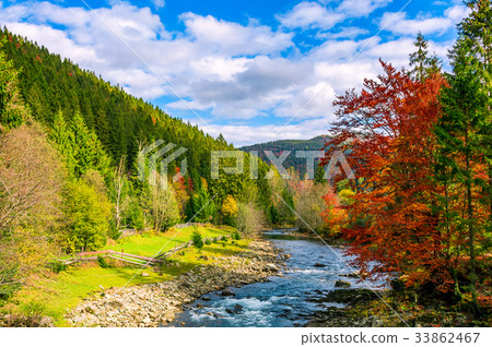 gorgeous day near the forest river in mountains 33862467