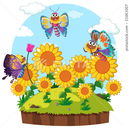 Butterflies flying around flower garden Butterflies flying around flower garden 33863007