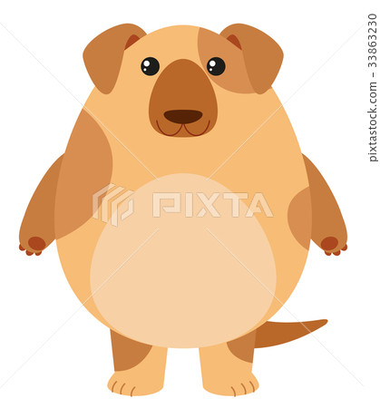 Brown dog on white background 33863230
