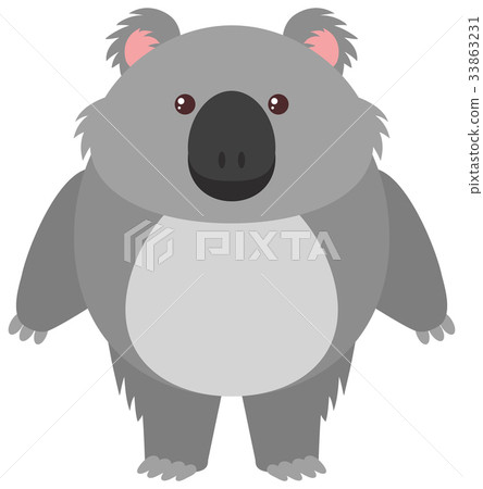 Cute koala bear on white background 33863231