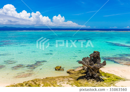 沖繩海 沖繩海 33863560