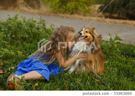Little girl with a dog Sheltie Little girl with a dog Sheltie 33863660