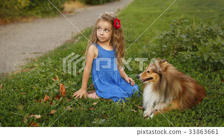 Little girl with a dog Sheltie Little girl with a dog Sheltie 33863661