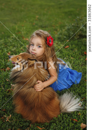 Little girl with a dog Sheltie 33863662