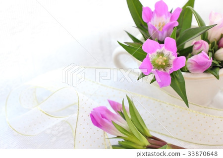 龍膽 龍膽 33870648