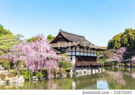 天堂金谷支櫻花 33872083