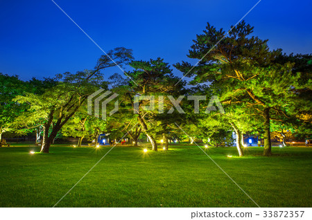 Park at night. 33872357