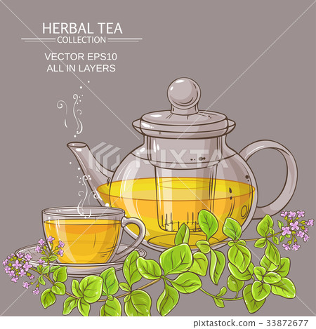 cup of oregano tea in teapot 33872677