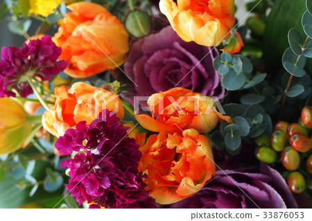 Spring garden Spring garden 33876053