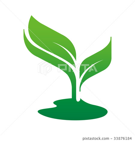 Plant leaf sprout icon logo Plant leaf sprout icon logo 33876184