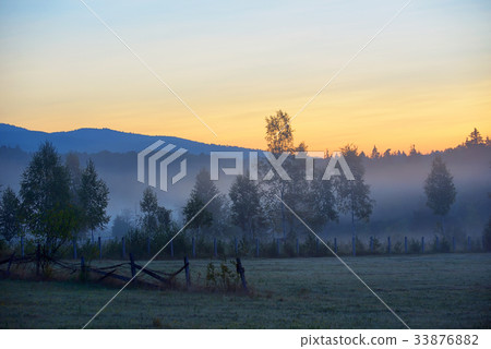 Mystic foggy landscape 33876882