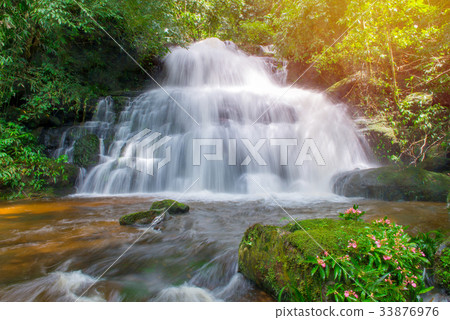 beautiful waterfall in rainforest at phu tub berk  33876976