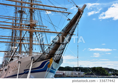 Nippon Maru 33877442