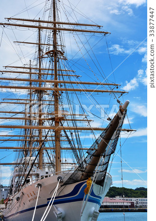 Nippon Maru 33877447