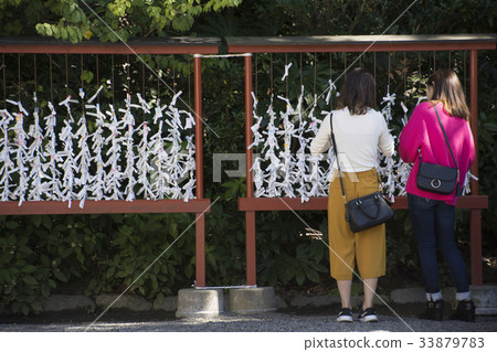 Tsuruoka Hachimangu Shrine Omikuji Tsuruoka Hachimangu Shrine Omikuji 33879783