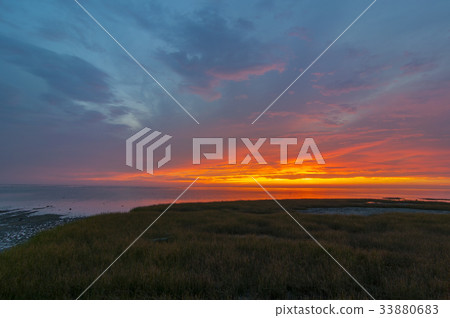 香山濕地夕陽 香山濕地夕陽 33880683