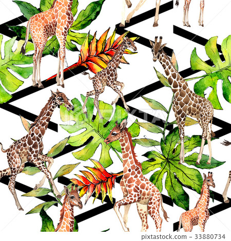 Exotic giraffe wild animal pattern in a watercolor Exotic giraffe wild animal pattern in a watercolor 33880734