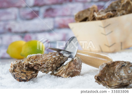 Fresh oyster ready to be eatten Fresh oyster ready to be eatten 33883806