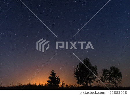 Silhouettes of trees the background of the starry Silhouettes of trees the background of the starry 33883938