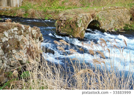 日本通過靜岡縣旅遊景點和石垣島的三條主要河流的柴田河水流量和橫向位置 日本通過靜岡縣旅遊景點和石垣島的三條主要河流的柴田河水流量和橫向位置 33883999